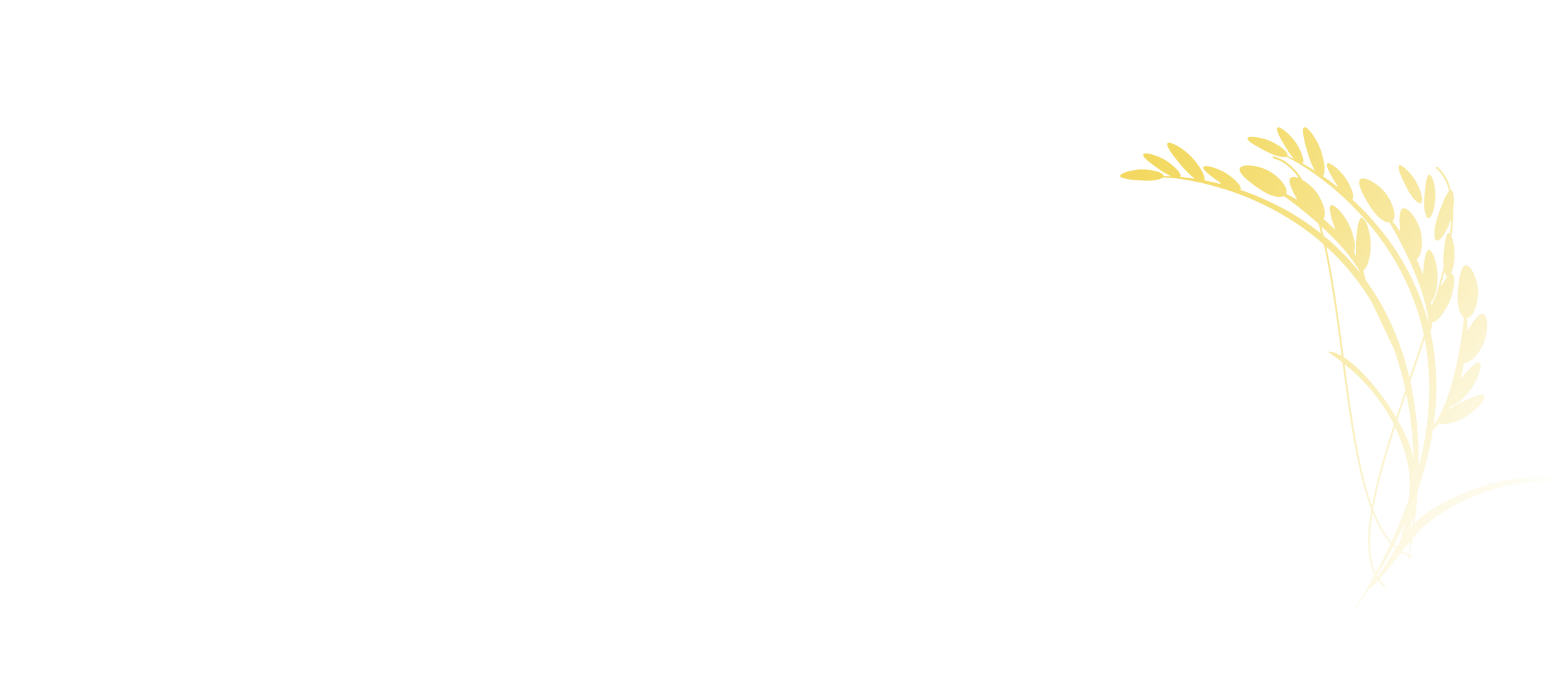 Maihan logo